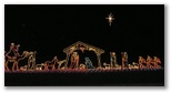 This is about the only picture of the Fantasy in Lights that turned out