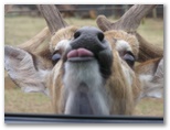 Say cheese!
