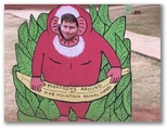 Just monkeying around...