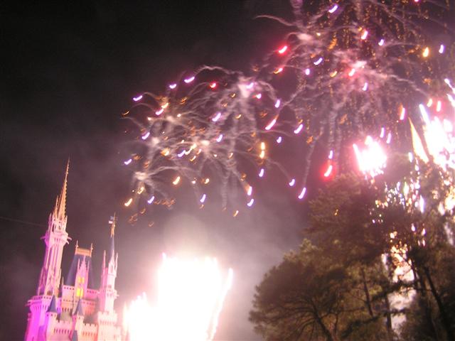p1010104__small_.jpg (large)