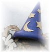Disney-MGM Studios